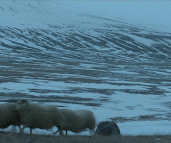 Une scène du film Rams