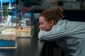 Image du film The Love Hypothesis