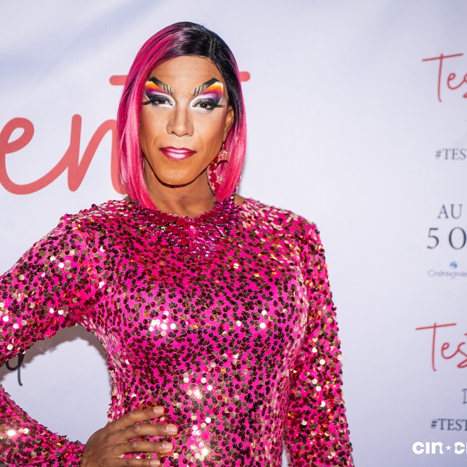 Tapis rouge du film <em>Testament</em>