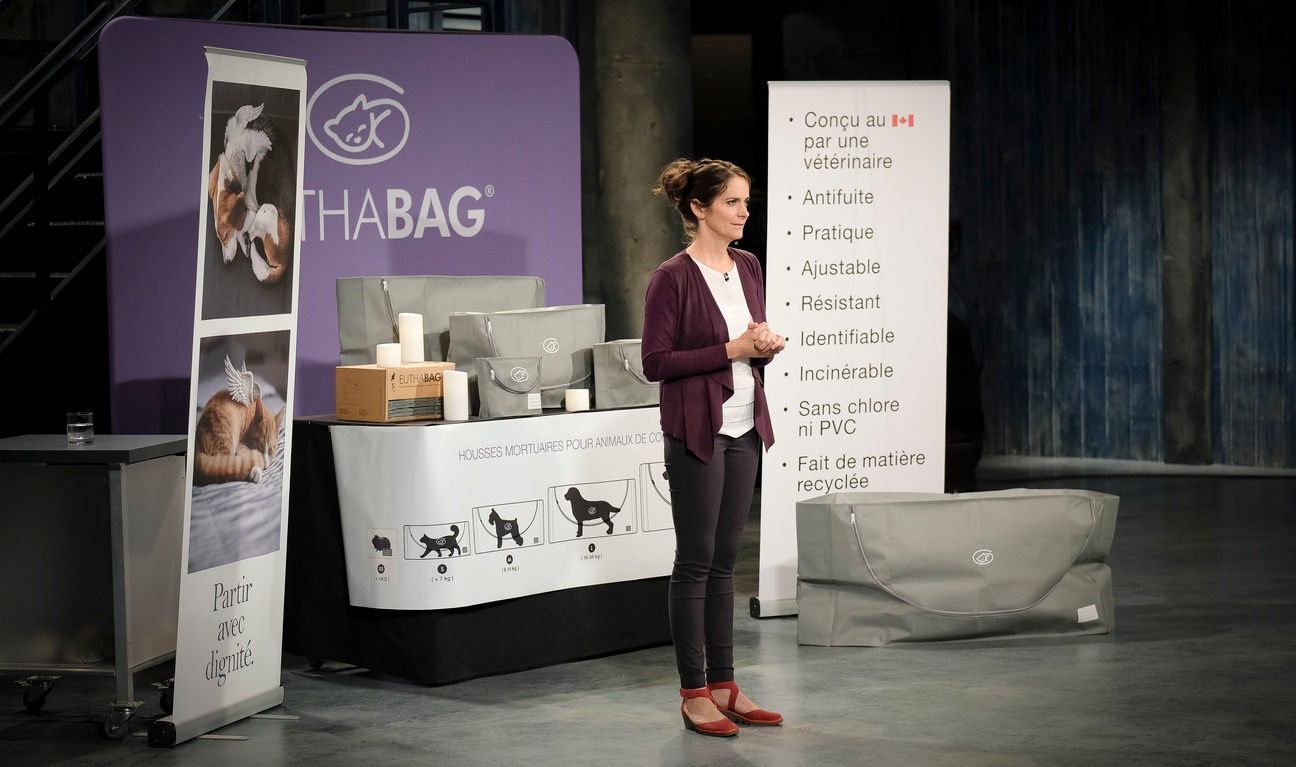 Les entreprises les plus marquantes de la 7e saison de Dans l'oeil du dragon