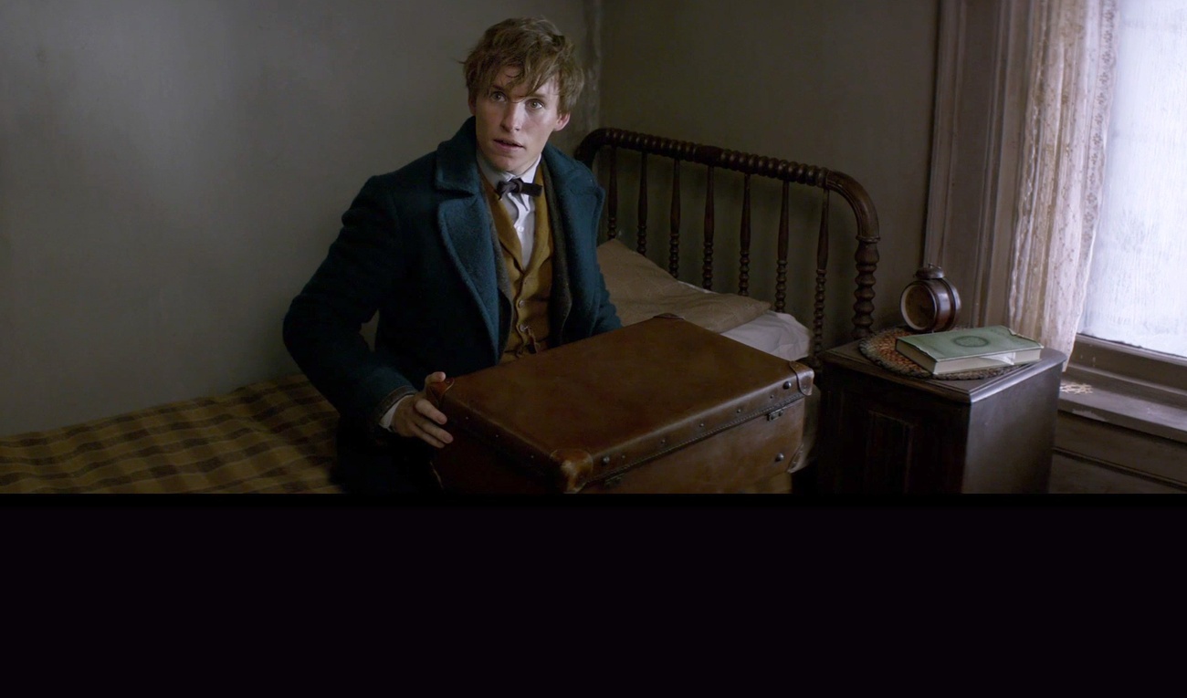 Premières images officielles de Fantastic Beasts and Where to Find Them