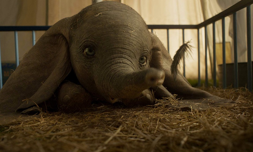 Sorties à la maison : Dumbo