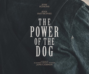 Affiche du film The Power of the Dog