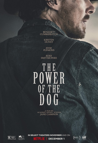 Affiche du film The Power of the Dog