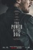 Affiche du film Le pouvoir du chien