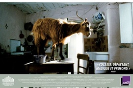 Affiche du film Le Quatro Volte Affiche du film Le Quatro Volte