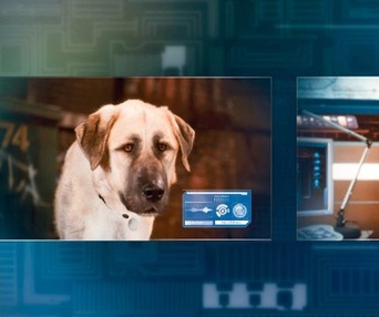 Une scène du film Cats & Dogs: The Revenge of Kitty Galore