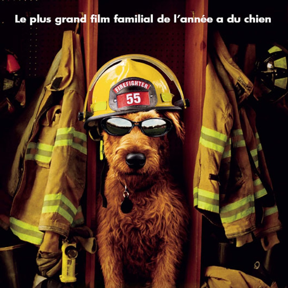 Galerie - Affiche en français du Chien de la caserne