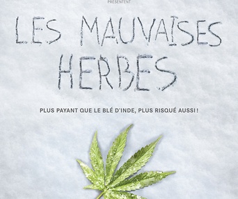 Affiche du film Les mauvaises herbes