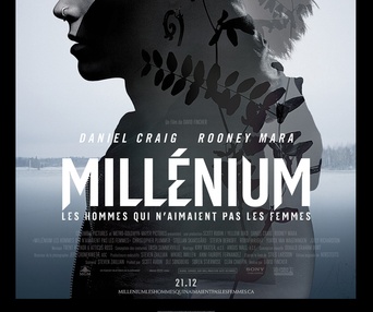 Affiche du film Millénieum : Les hommes qui n'aimaient pas les femmes