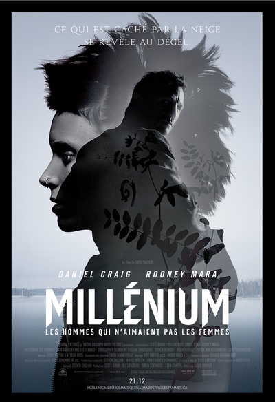 Affiche du film Millénieum : Les hommes qui n'aimaient pas les femmes