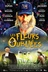 Affiche du film Les fleurs oubliées
