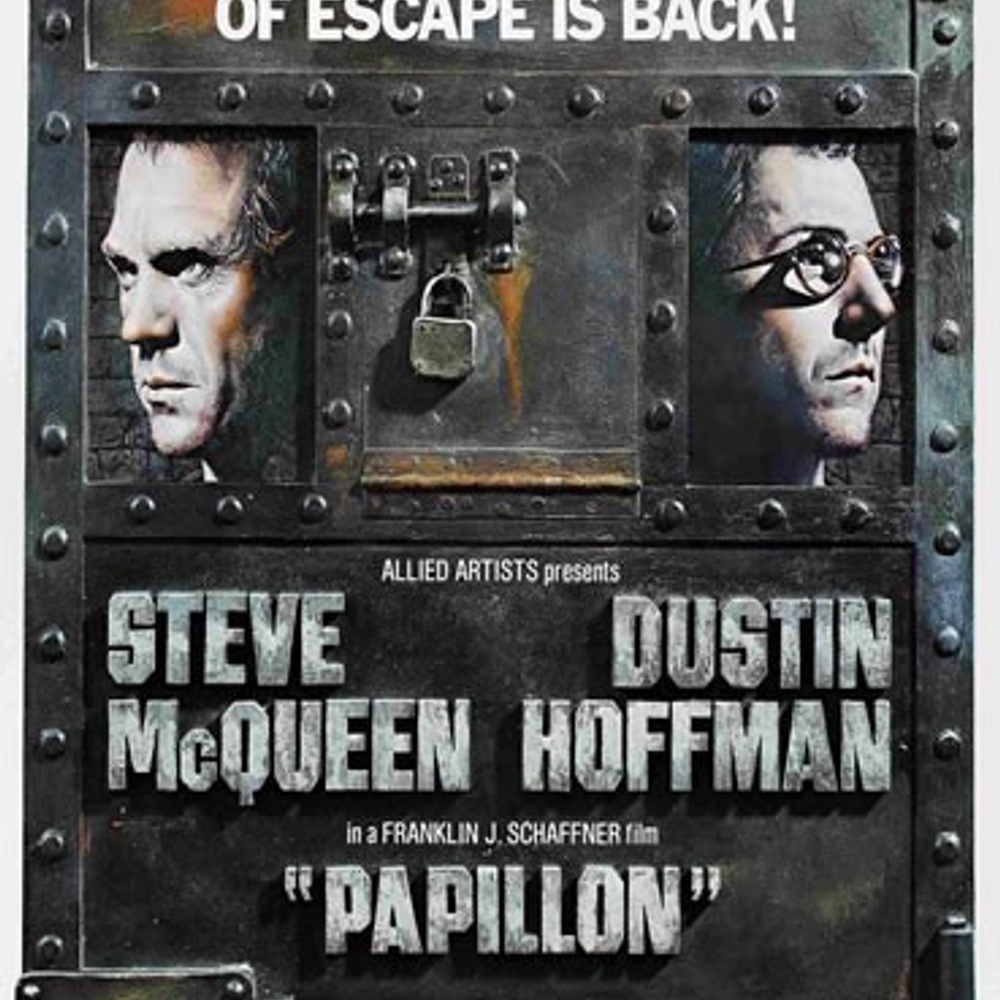 Affiche du film Papillon