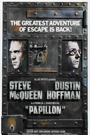 Affiche du film Papillon