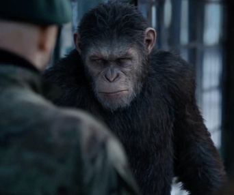 Une scène du film War for the Planet of the Apes