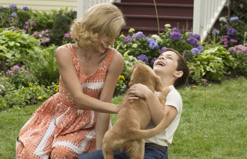 Une scène du film A Dog's Purpose