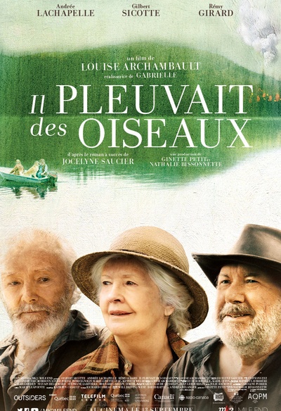 Affiche du film Il pleuvait des oiseaux