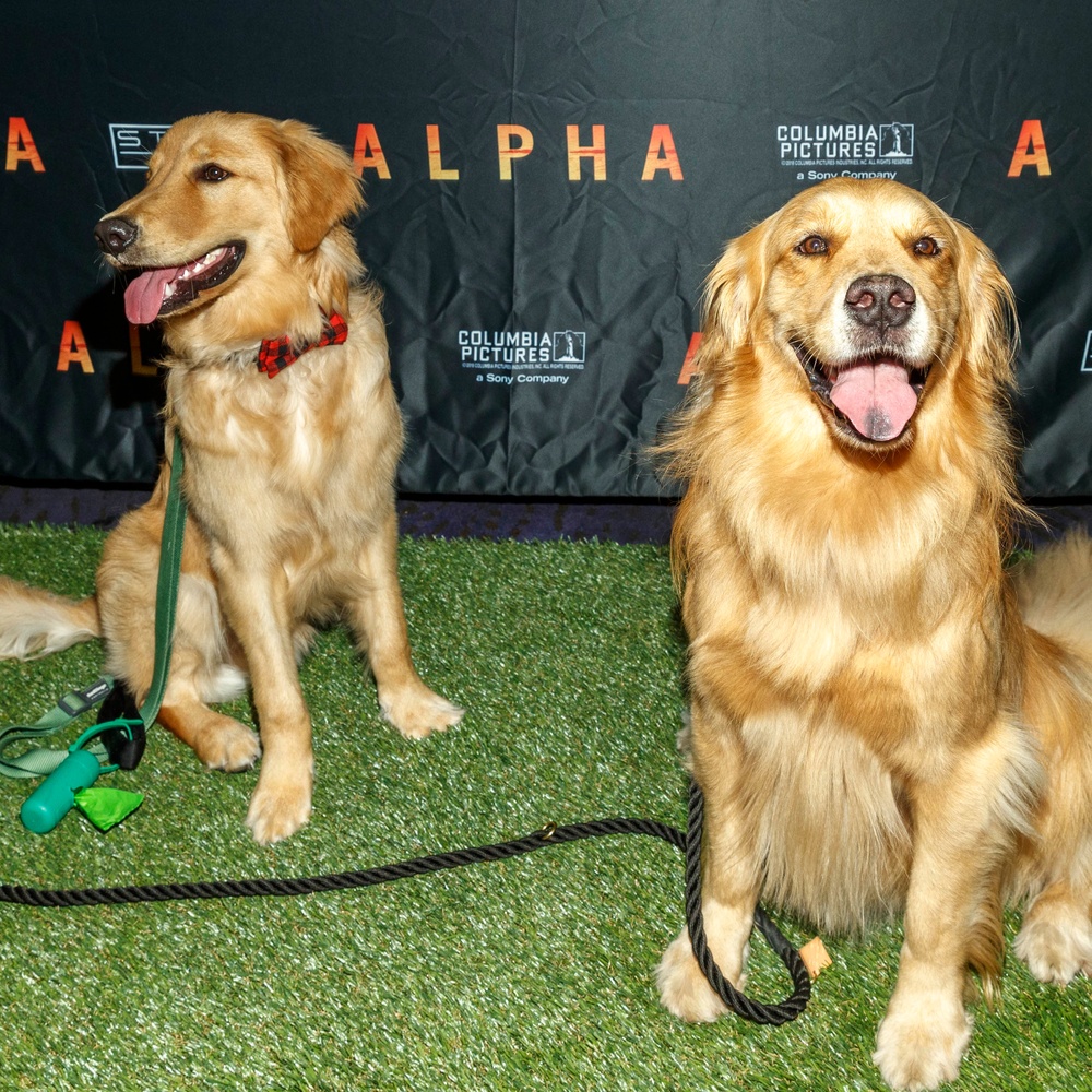Première du film Alpha à Los Angeles