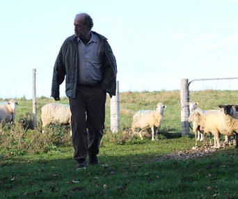 Une scène du film Le démantèlement