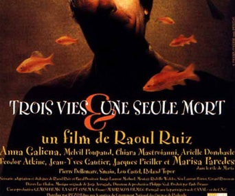 Affiche du film Trois vies et une seule mort