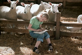 Scène du film Le petit monde de Charlotte
