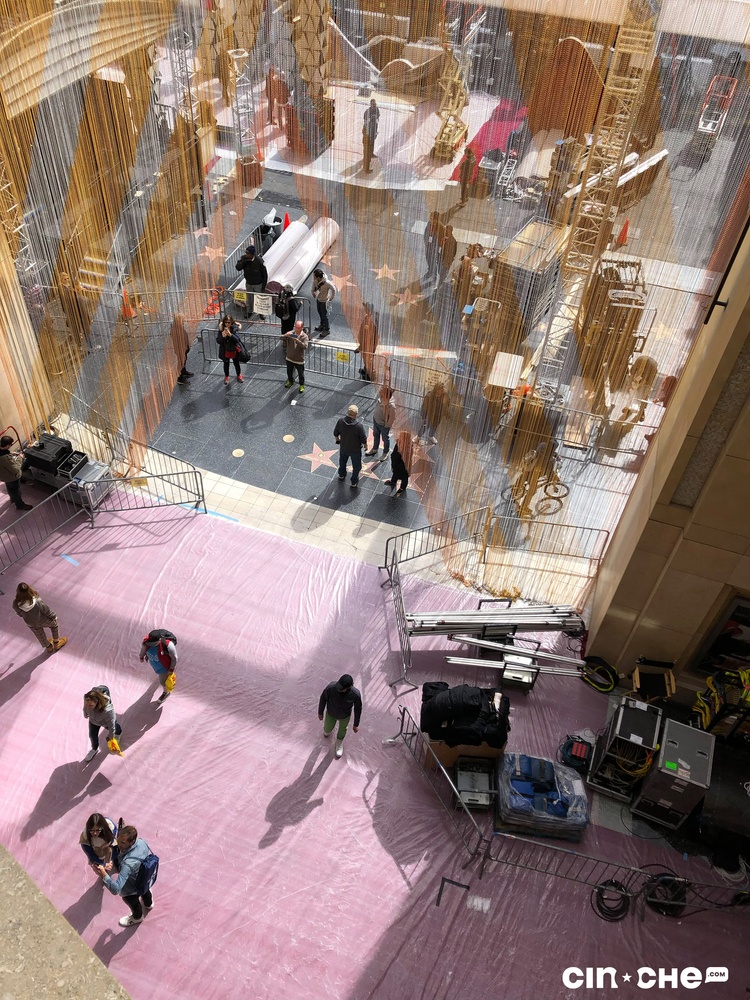 Tapis rouge des Oscars 2019