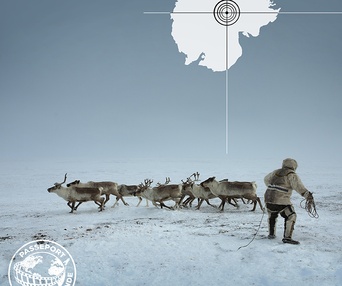 Une scène du film Le Grand Nord : du Groenland à la Sibérie  -  Passeport pour le monde