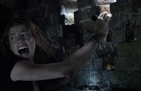 Une scène du film Crawl