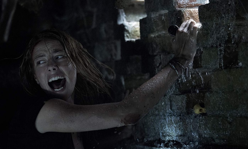 Sorties à la maison : Crawl