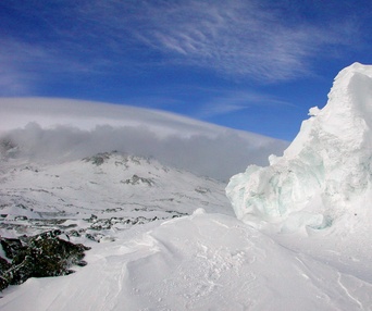 Scène du film Encounters at the end of the world