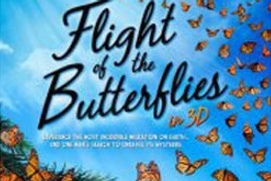 Image du film Flight of the Butterflies 3D