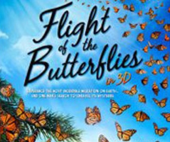 Image du film Flight of the Butterflies 3D