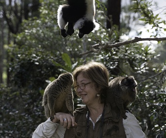 Une scène du film Island of Lemurs: Madagascar