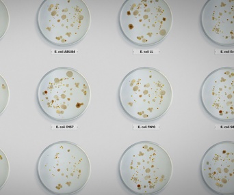 Une scène du film Poisoned: The Dirty Truth About Your Food