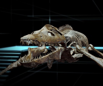 Une scène du film Sea Rex: Journey to a Prehistoric World 3D
