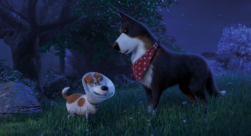 Une scène du film The Secret Life of Pets 2