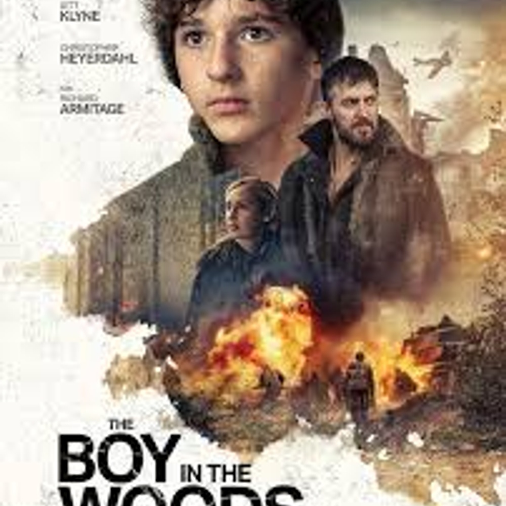 Affiche du film The Boy in the Woods