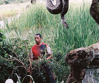 Scène du film Primeval