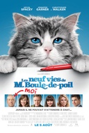 Affiche du film Les neuf vies de M. Boule-de-poil