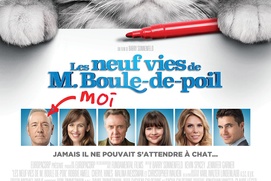 Affiche du film Nine Lives