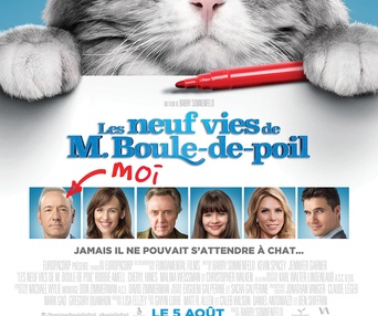 Affiche du film Nine Lives