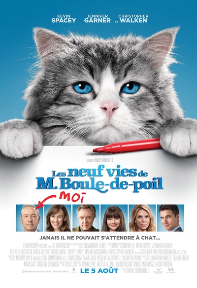 Affiche du film Nine Lives