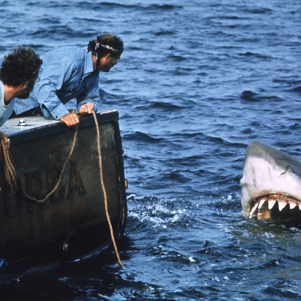 Une scène du film Jaws