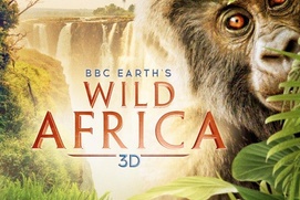 Affiche du film Wild Africa