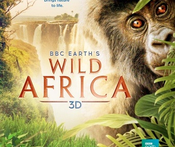 Affiche du film Wild Africa