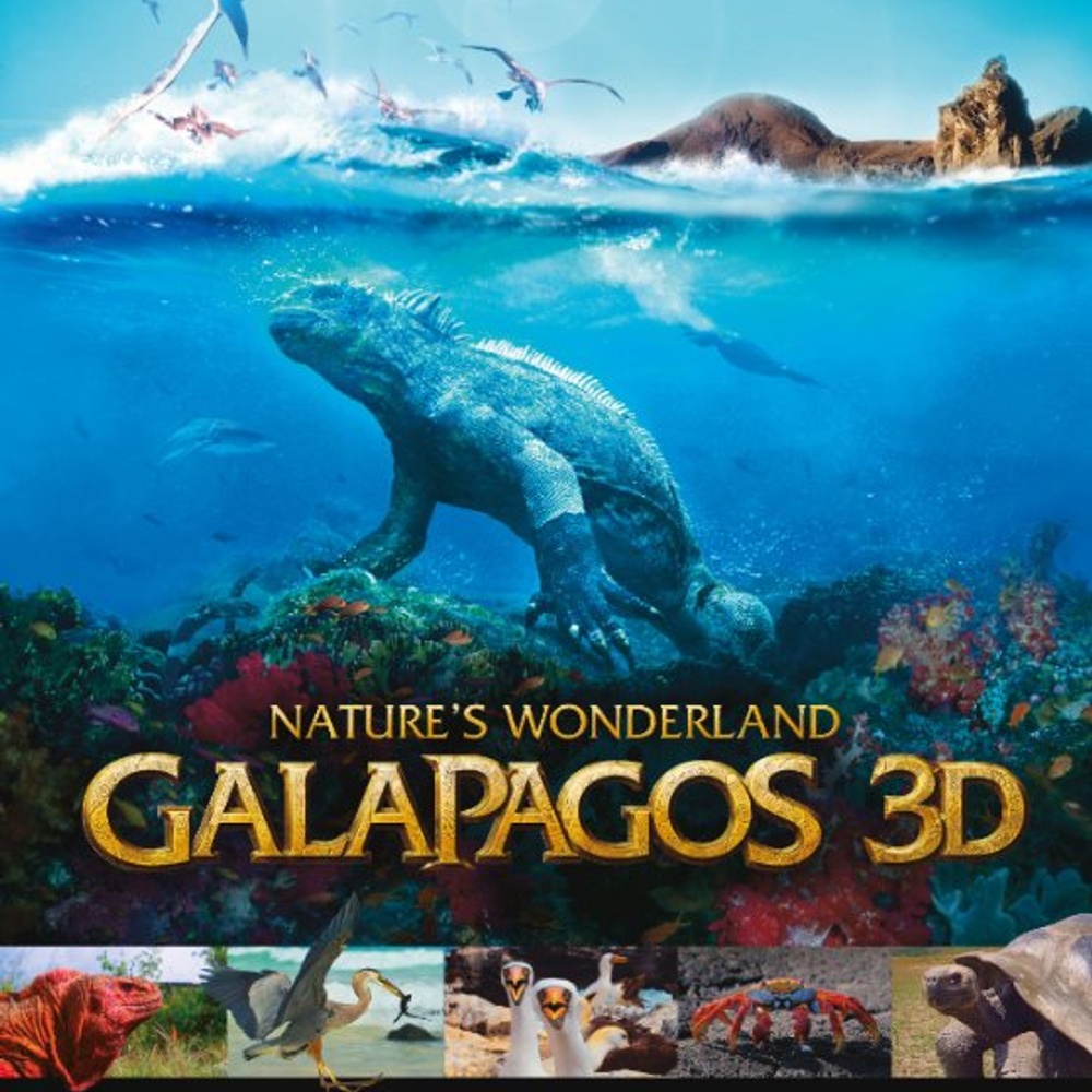 Affiche du film Galapagos 3D : Nature's wonderland