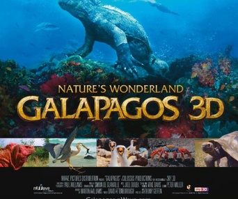 Affiche du film Galapagos 3D : Nature's wonderland