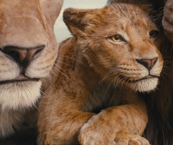 Une scène du film Mufasa: The Lion King
