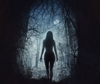 Affiche du film La sorcière