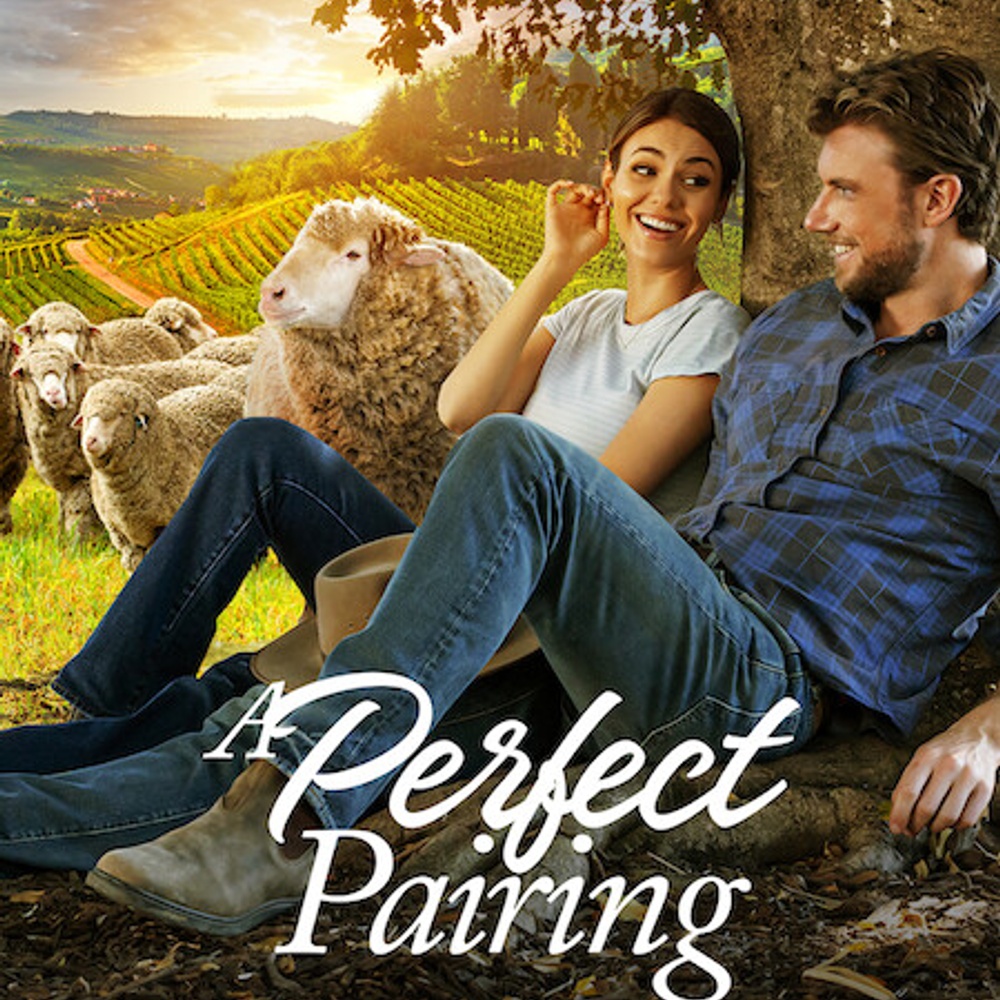 Affiche du film  A Perfect Pairing
